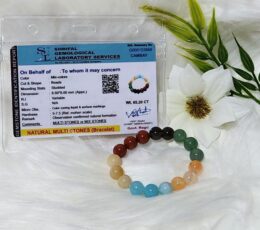 Aurax Reiki Multistone Bracelet