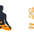 Sacral Chakra - Aurax Reiki - Grand Master Indra Soni