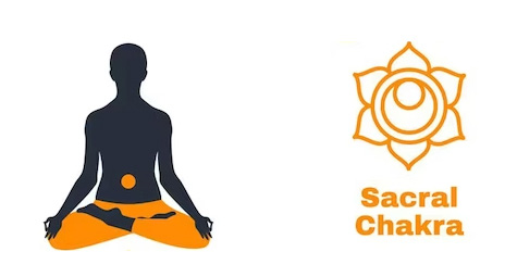 Sacral Chakra - Aurax Reiki - Grand Master Indra Soni